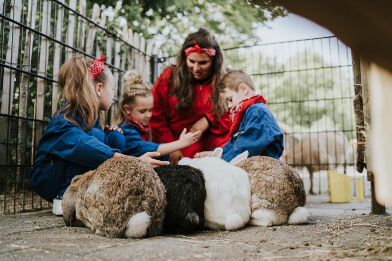 Vakantiepark Dierenbos Vinkel Zewnętrze zdjęcie